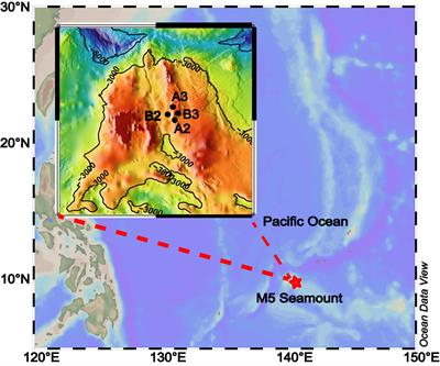 Vertically Exported Phytoplankton (< 20 µm) and Their Correlation Network With Bacterioplankton Along a Deep-Sea Seamount